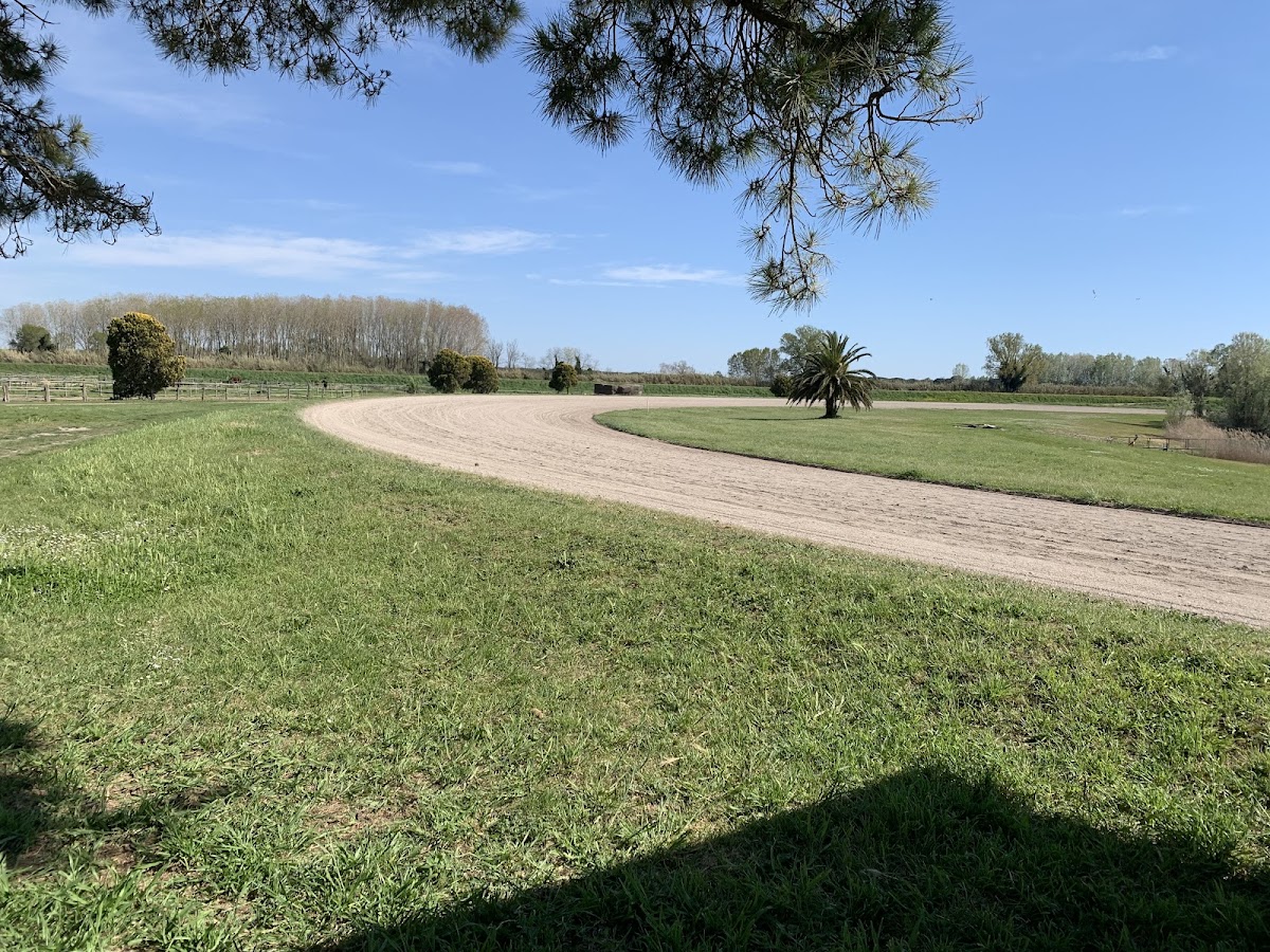 Club House Restaurant - Tenuta Isola Di Migliarino Photos 2